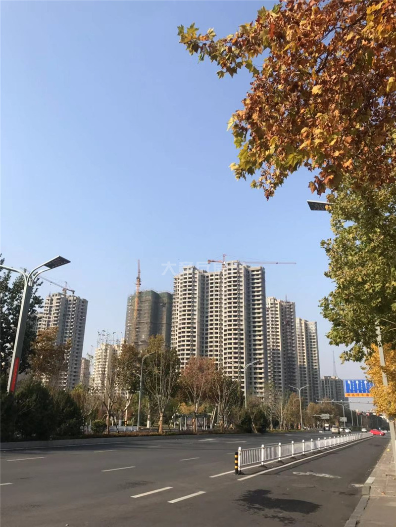 龙泉壹号
